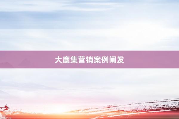 大麇集营销案例阐发